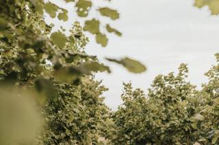 Postlewait's Country Weddings - 7