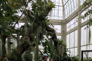Buffalo and Erie County Botanical Gardens - 23