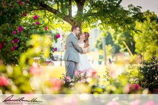David Barone-Vu Photography - 30