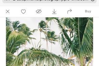 Asia Pimentel Photography - 54
