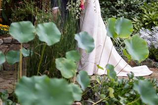Amelya Jayne Photography, LLC. - 6