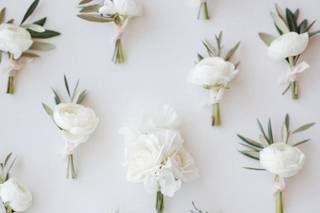 Meristem Floral - 14