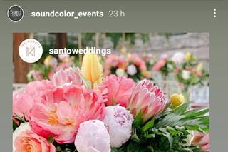 Mk events (by Santo weddings) - 51
