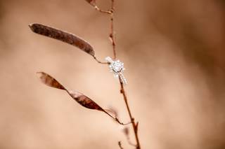 Annie V Photography - 22