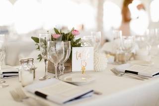 La Bella Rose - 16
