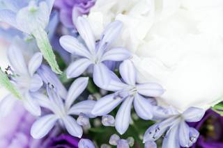 Fireside Floral Studio - 33