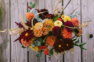 Carolina Flowers - 12