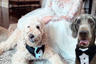 Catherine Scerbo Events,LLC - 12