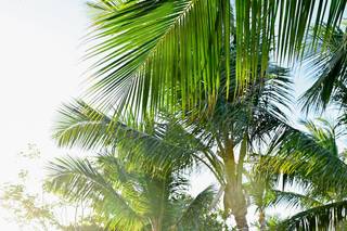 Photoshop Caribe - 26