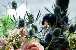 Petals and Moss - 4