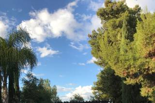 Danza del Sol Winery by Wedgewood Weddings - 2