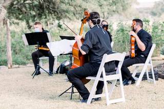 Terra Vista Strings - 15