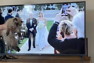 Noel Del Pilar, Destination Wedding Photographer - 13