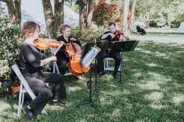 The Bloom Trio & Event Musicians - 3