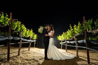 Bob Hoffman Photography & Video - 33