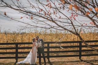 Green Apple Photography - 18