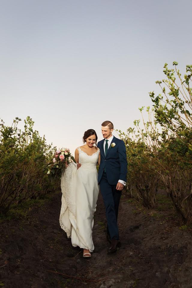 Indigo Harvest Events @ D&J Blueberry Farms LLC - 2
