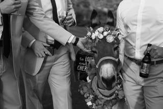 Haul N Ass Productions - 154