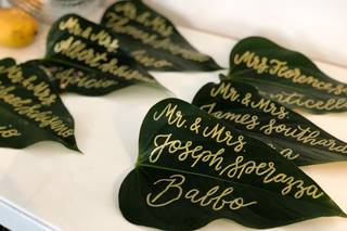 Petals & Roots - 17