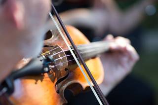 Triangle String Quartet - 3