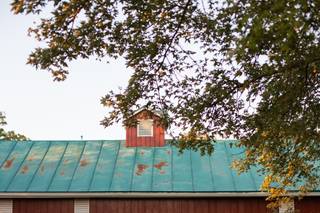 Black Walnut Grove Estate - 9