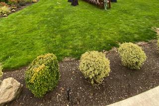 Cape Horn Estate - 36