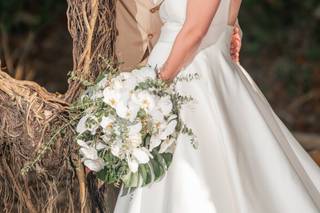 Too Cool Photography & Video Services - 232