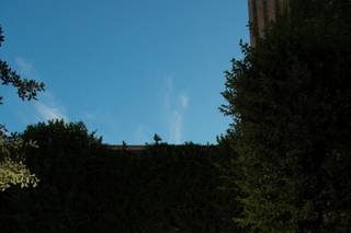 Biyani Photography - 5