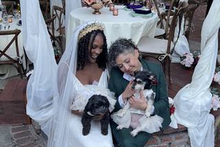 Wedding Tails- PET HANDLER - 7