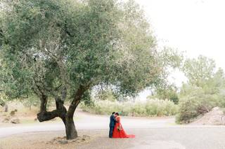 Apollo Fotografie {Photography & Videography} - 35
