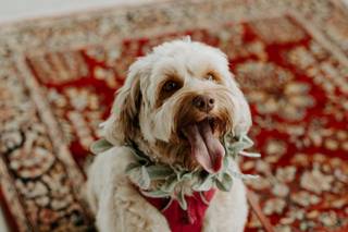 Ashley Olafsson Photography - 9