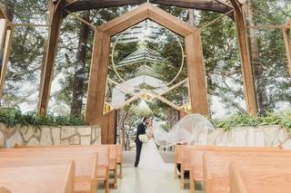 Sun & Sparrow Photography - 21