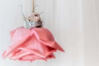 Lori Eastridge Photography - 8