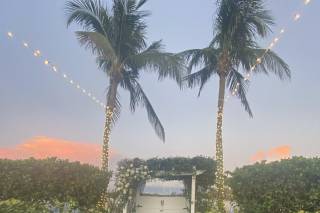 The Resort at Longboat Key Club - 19