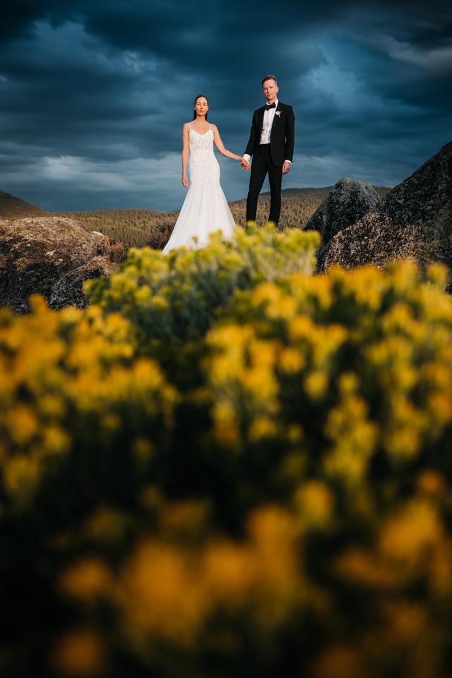 VILD Photography - 2