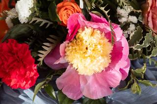 Bella Bloom Flowers - 6