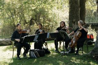 Big Sky Strings - 5