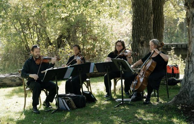 Big Sky Strings - 1