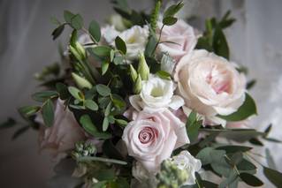 Katydid Flowers - 8