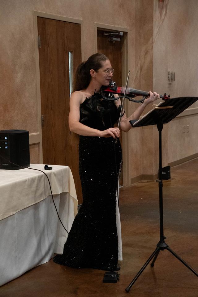 Steven Vance Electric Violins - 2