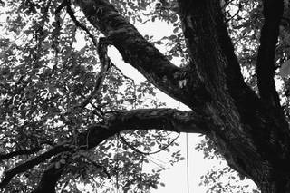 Arlene Chambers Photography - 24