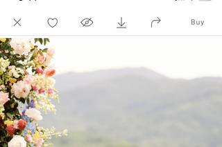 Maddie Kay Photography - 11