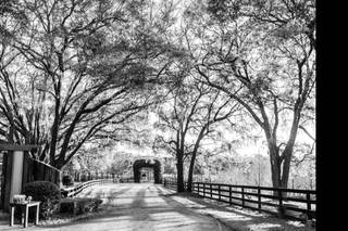 Aponte Studios, LLC - 44