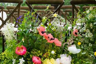 Folls' Flowers - 44