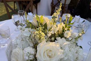 Draping Wedding - 6