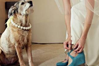 Twinty Photography - 19