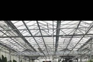 Buchwalter Greenhouse - 34