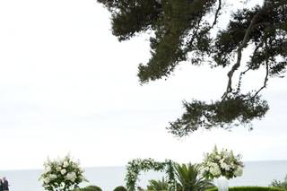 800ROSEBIG Wholesale Wedding Florist - 7