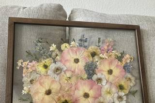 White Poppy Preservation - 41