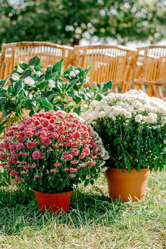 Grelen Events & Weddings - 2